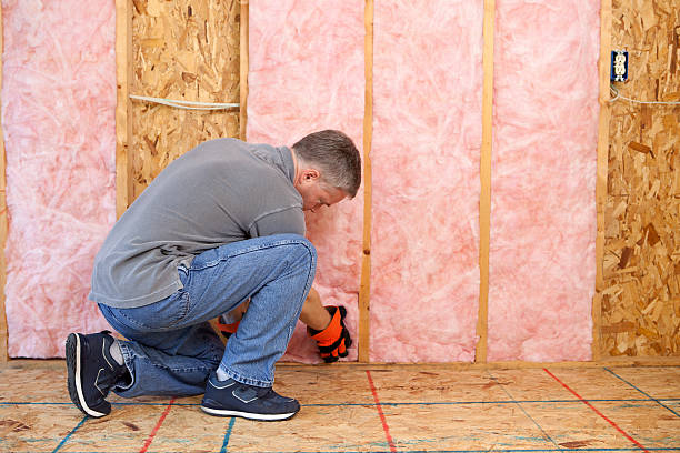 Best Eco-Friendly Insulation in Elmira Heights, NY