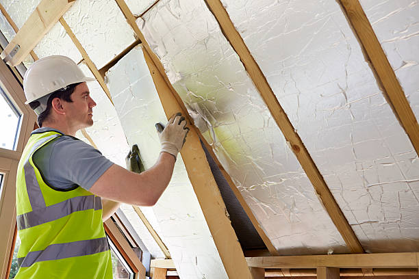 Best Insulation Maintenance and Repair in Elmira Heights, NY
